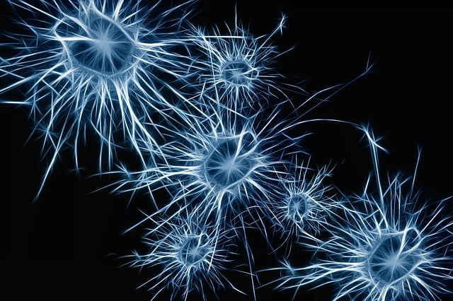 Neuronas sobre las que tiene sus efectos la técnica EMDR